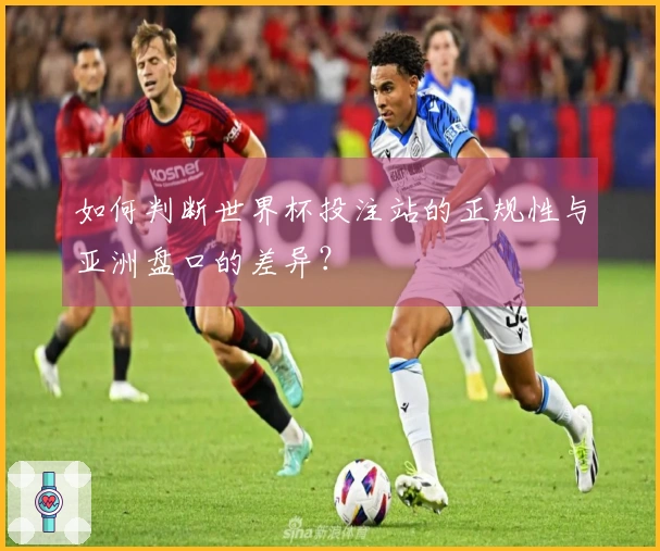 如何判断世界杯投注站的正规性与亚洲盘口的差异？