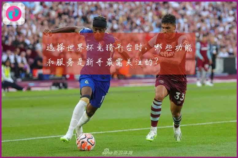 选择世界杯竞猜平台时，哪些功能和服务是新手最需关注的？