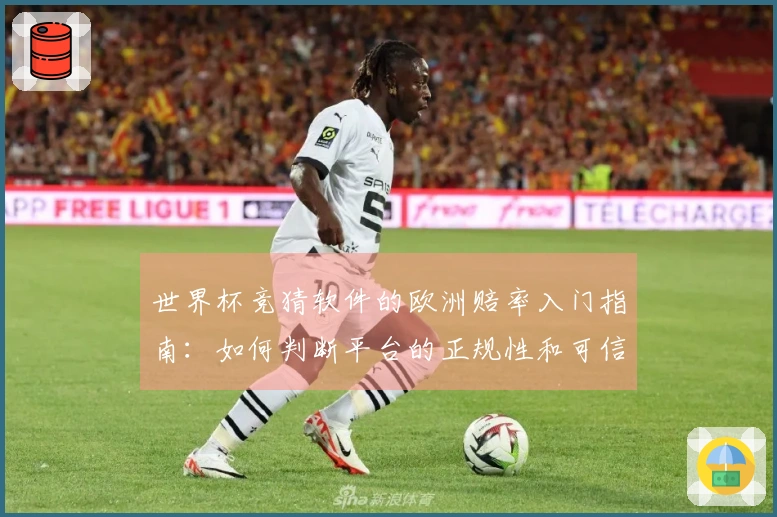 世界杯竞猜软件的欧洲赔率入门指南：如何判断平台的正规性和可信度