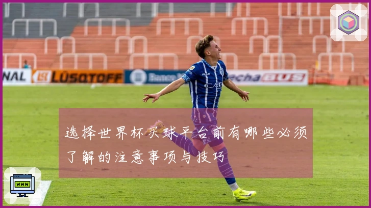 选择世界杯买球平台前有哪些必须了解的注意事项与技巧