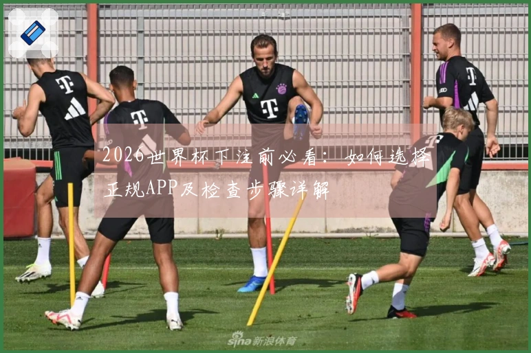 2026世界杯下注前必看：如何选择正规APP及检查步骤详解
