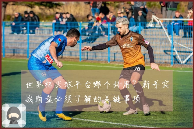 世界杯买球平台哪个好用？新手实战购盘必须了解的关键事项