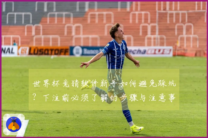 世界杯竞猜软件新手如何避免踩坑？下注前必须了解的步骤与注意事项