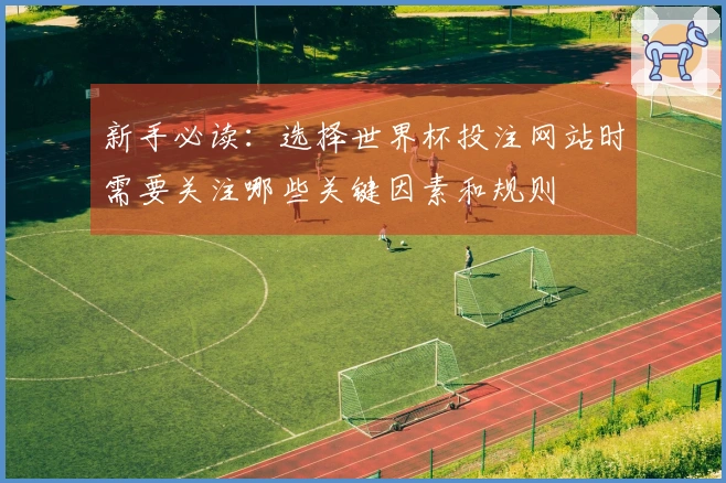 新手必读：选择世界杯投注网站时需要关注哪些关键因素和规则