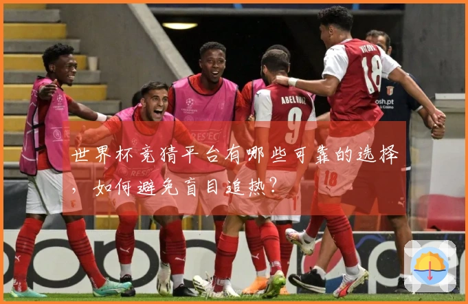 世界杯竞猜平台有哪些可靠的选择，如何避免盲目追热？