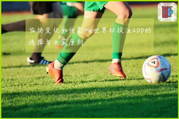 临场变化如何影响世界杯投注app的选择与决策原则