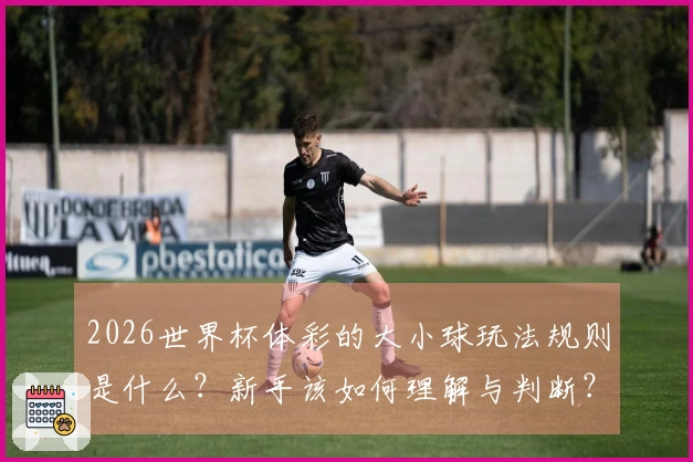 2026世界杯体彩的大小球玩法规则是什么？新手该如何理解与判断？