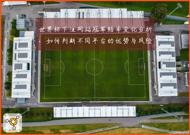世界杯下注网站冠军赔率变化分析，如何判断不同平台的优势与风险