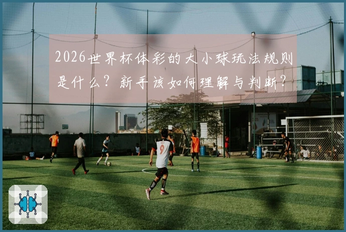 2026世界杯体彩的大小球玩法规则是什么？新手该如何理解与判断？