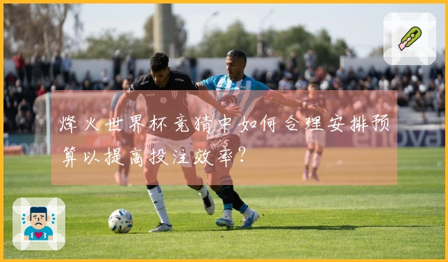 烽火世界杯竞猜中如何合理安排预算以提高投注效率？