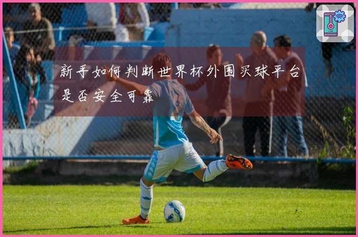 新手如何判断世界杯外围买球平台是否安全可靠