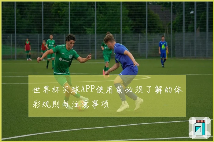 世界杯买球APP使用前必须了解的体彩规则与注意事项