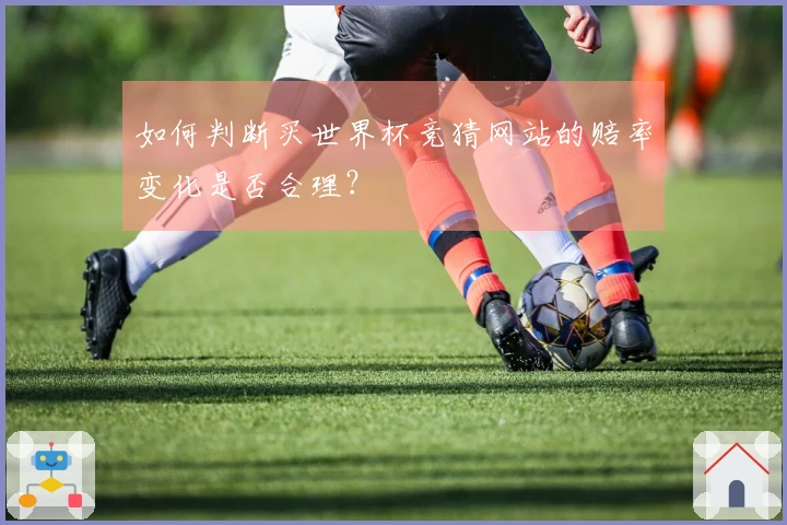 如何判断买世界杯竞猜网站的赔率变化是否合理？
