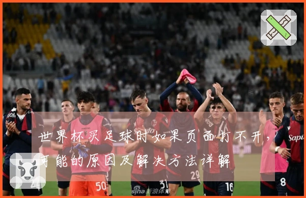 世界杯买足球时如果页面打不开，可能的原因及解决方法详解