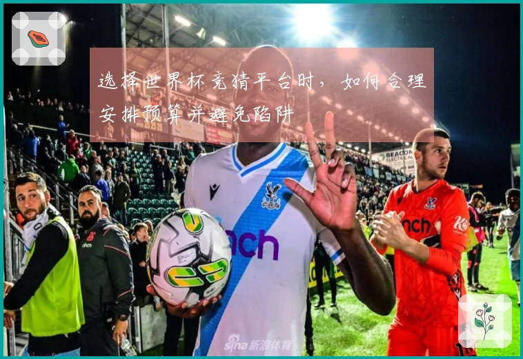 选择世界杯竞猜平台时，如何合理安排预算并避免陷阱