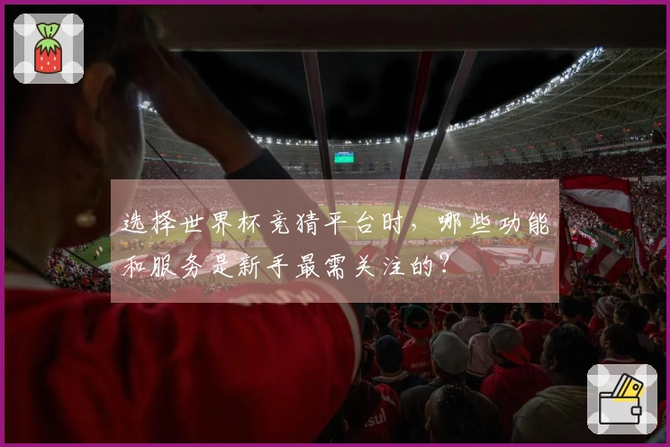 选择世界杯竞猜平台时，哪些功能和服务是新手最需关注的？