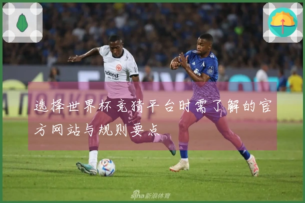 选择世界杯竞猜平台时需了解的官方网站与规则要点