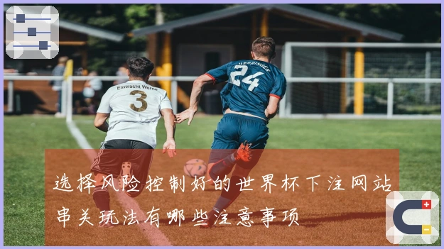 选择风险控制好的世界杯下注网站串关玩法有哪些注意事项