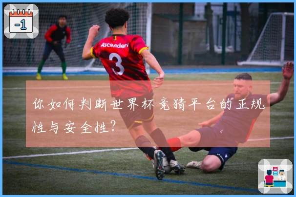 你如何判断世界杯竞猜平台的正规性与安全性？