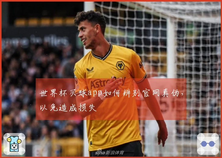 世界杯买球app如何辨别官网真伪，以免造成损失