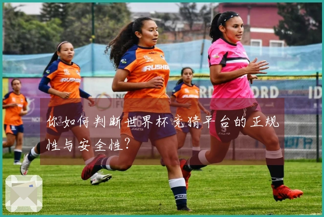 你如何判断世界杯竞猜平台的正规性与安全性？