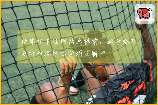 世界杯下注网站选择前，这些球队分析和规则你必须了解
