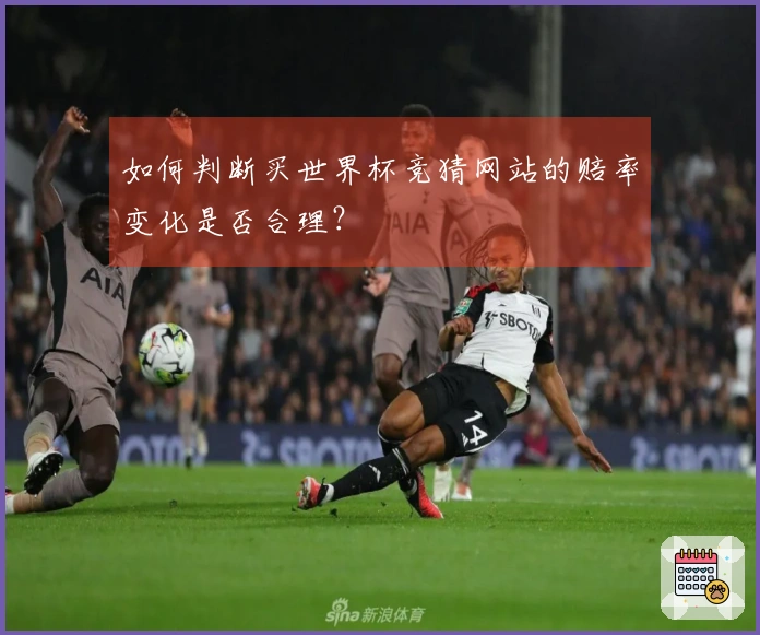 如何判断买世界杯竞猜网站的赔率变化是否合理？