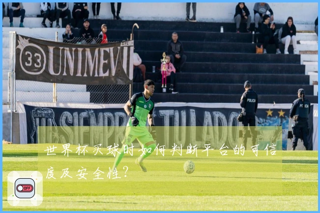 世界杯买球时如何判断平台的可信度及安全性？