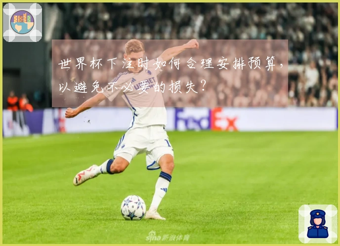 世界杯下注时如何合理安排预算，以避免不必要的损失？