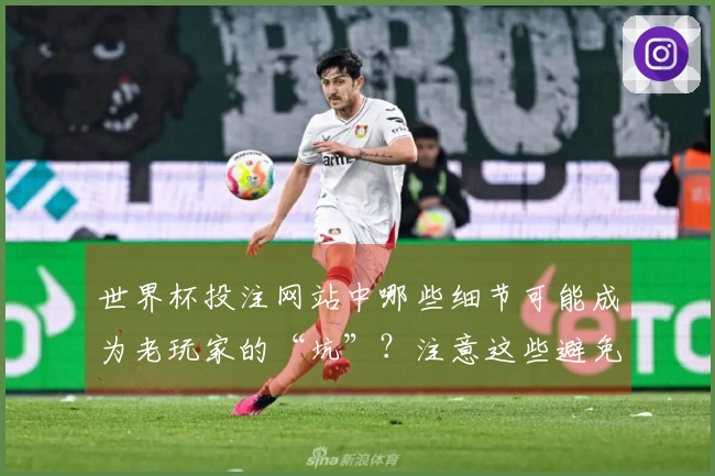 世界杯投注网站中哪些细节可能成为老玩家的“坑”？注意这些避免损失