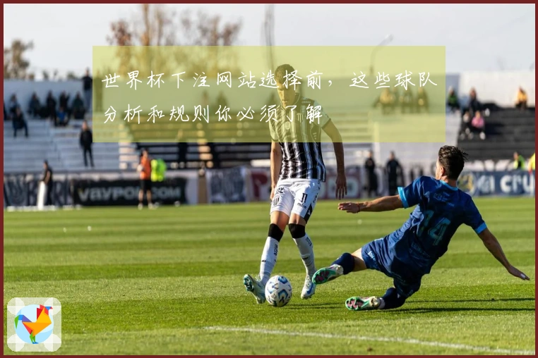 世界杯下注网站选择前，这些球队分析和规则你必须了解