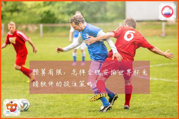 预算有限，怎样合理安排世界杯竞猜软件的投注策略？