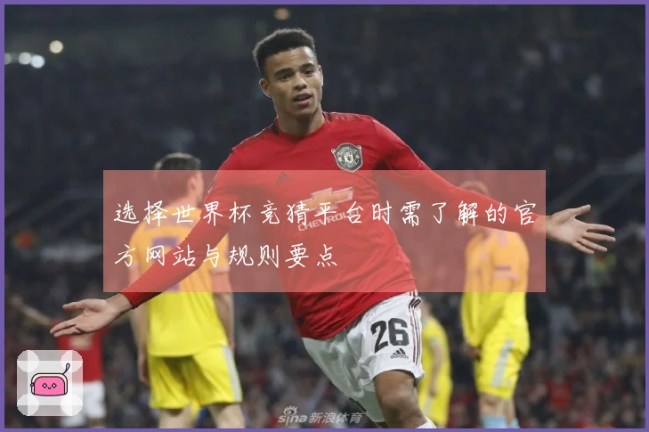 选择世界杯竞猜平台时需了解的官方网站与规则要点