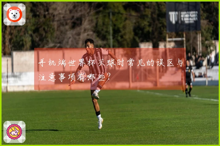 手机端世界杯买球时常见的误区与注意事项有哪些？