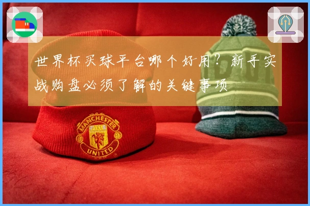 世界杯买球平台哪个好用？新手实战购盘必须了解的关键事项
