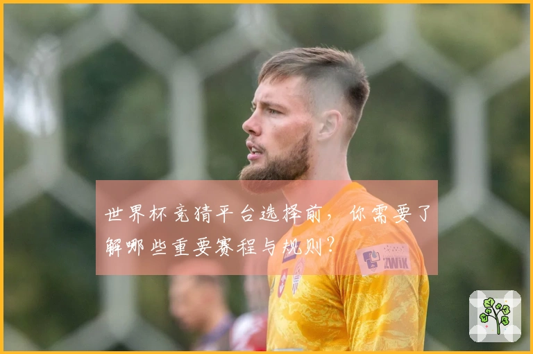 世界杯竞猜平台选择前，你需要了解哪些重要赛程与规则？