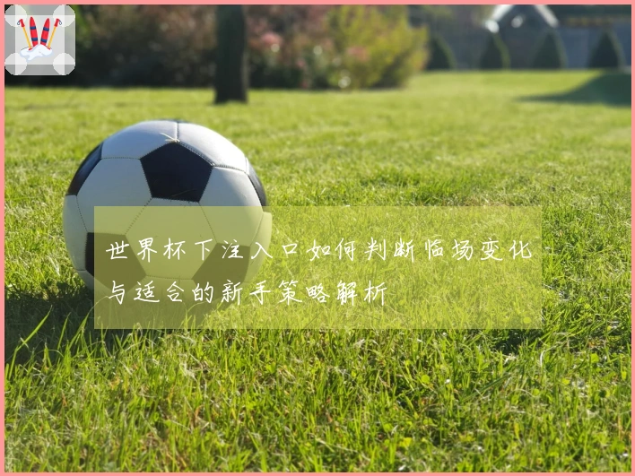 世界杯下注入口如何判断临场变化与适合的新手策略解析