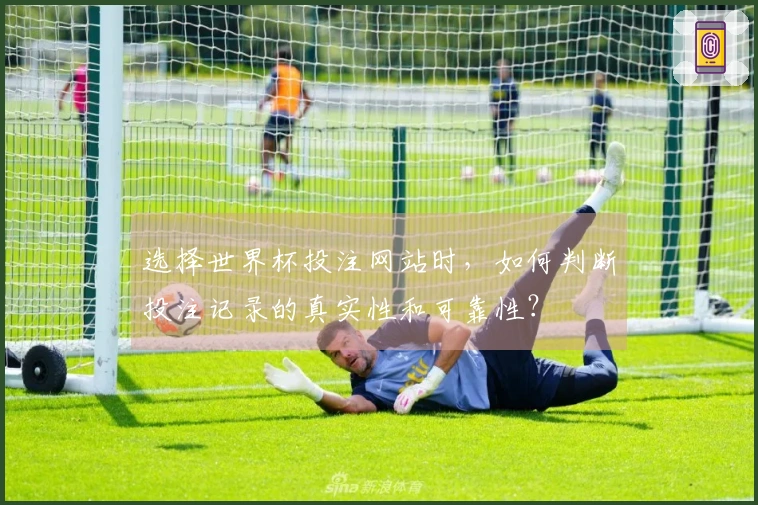 选择世界杯投注网站时,如何判断投注记录的真实性和可靠性?